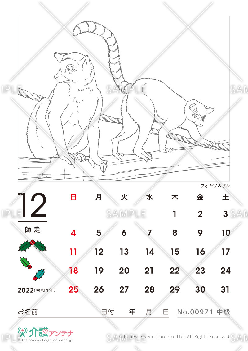 2022年12月の塗り絵カレンダー「ワオキツネザル（動物）」 - No.00971(高齢者向けカレンダー作りの介護レク素材)