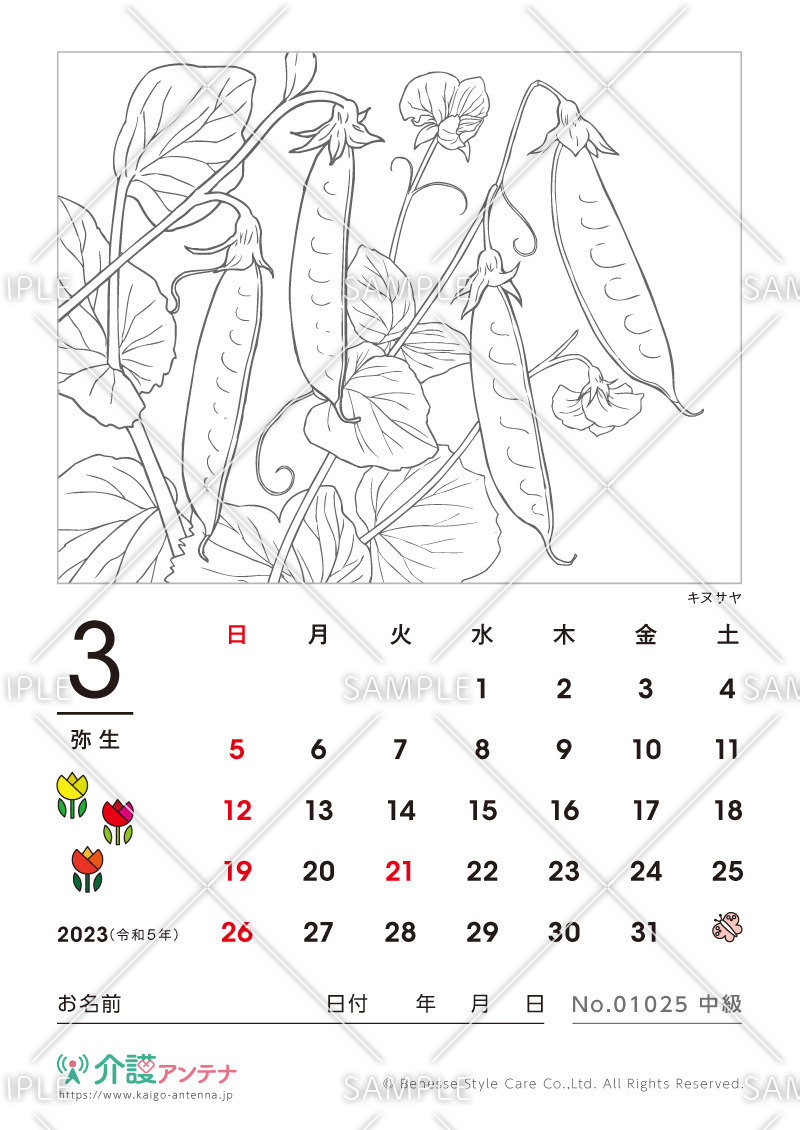 2023年3月の塗り絵カレンダー「キヌサヤ（植物）」
