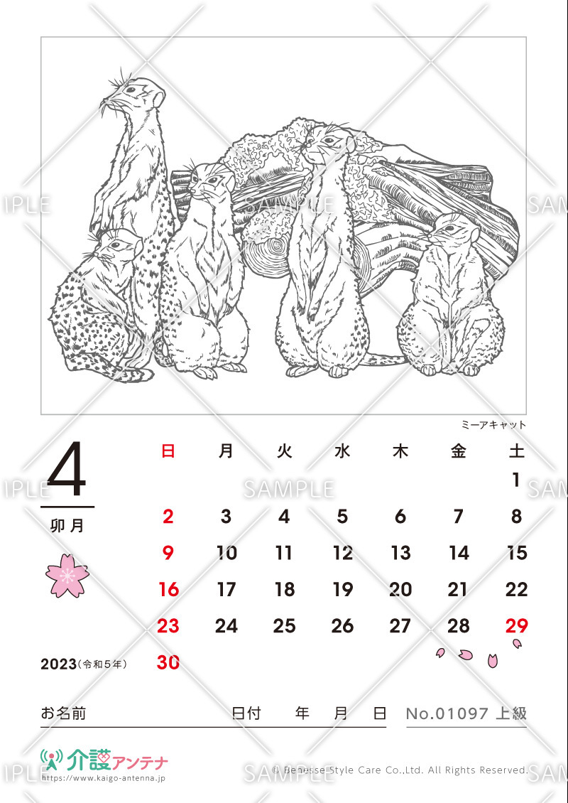 2023年4月の塗り絵カレンダー「ミーアキャット（動物）」 - No.01097(高齢者向けカレンダー作りの介護レク素材)