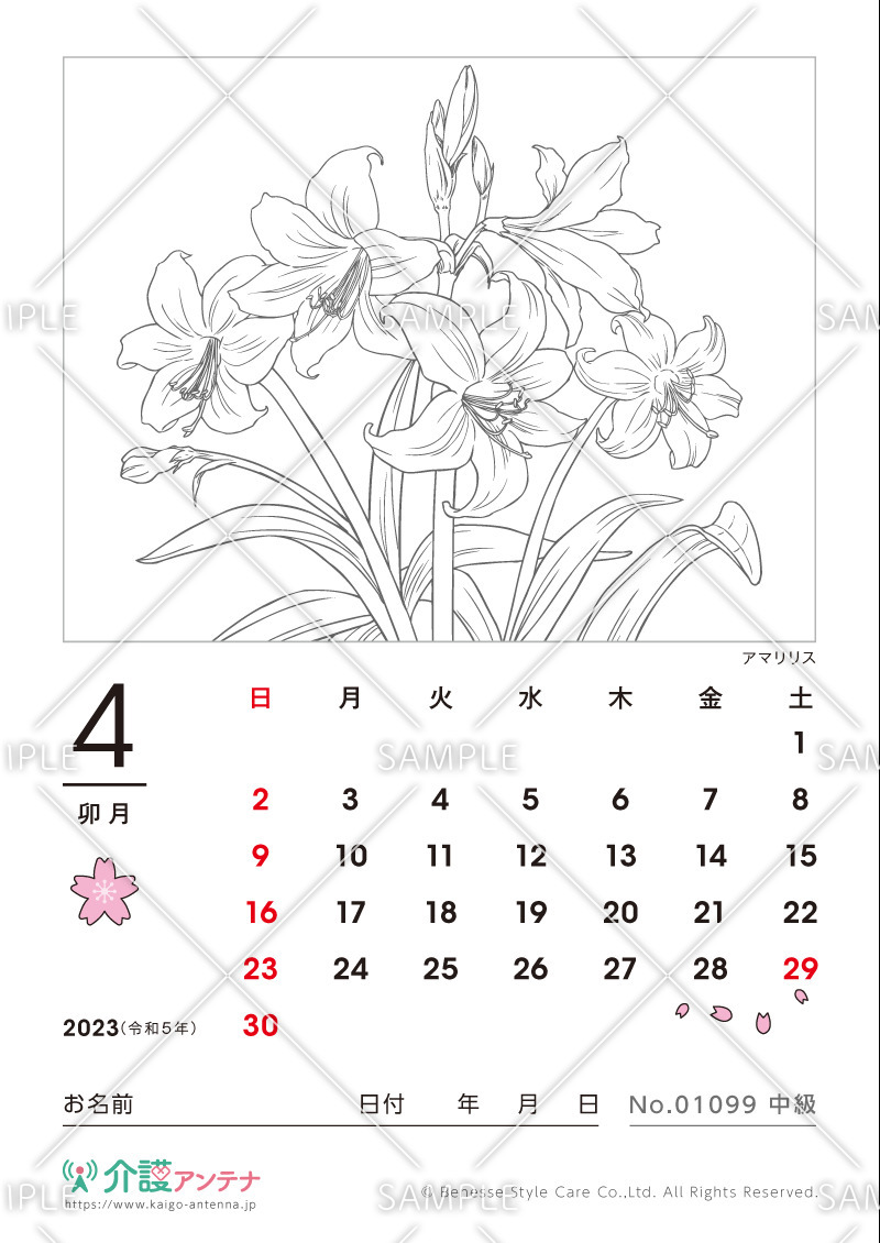 2023年4月の塗り絵カレンダー「アマリリス（花・植物）」 - No.01099(高齢者向けカレンダー作りの介護レク素材)