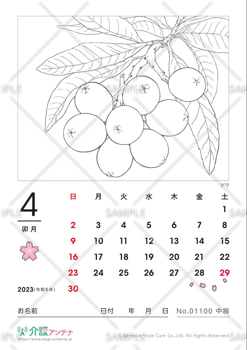 2023年4月の塗り絵カレンダー「ビワ（植物）」 - No.01100(高齢者向けカレンダー作りの介護レク素材)