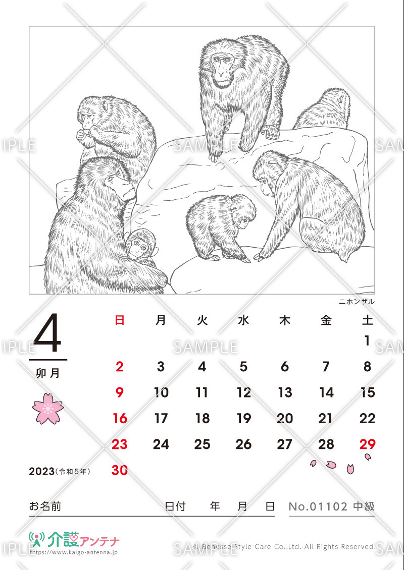 2023年4月の塗り絵カレンダー「ニホンザル（動物）」 - No.01102(高齢者向けカレンダー作りの介護レク素材)