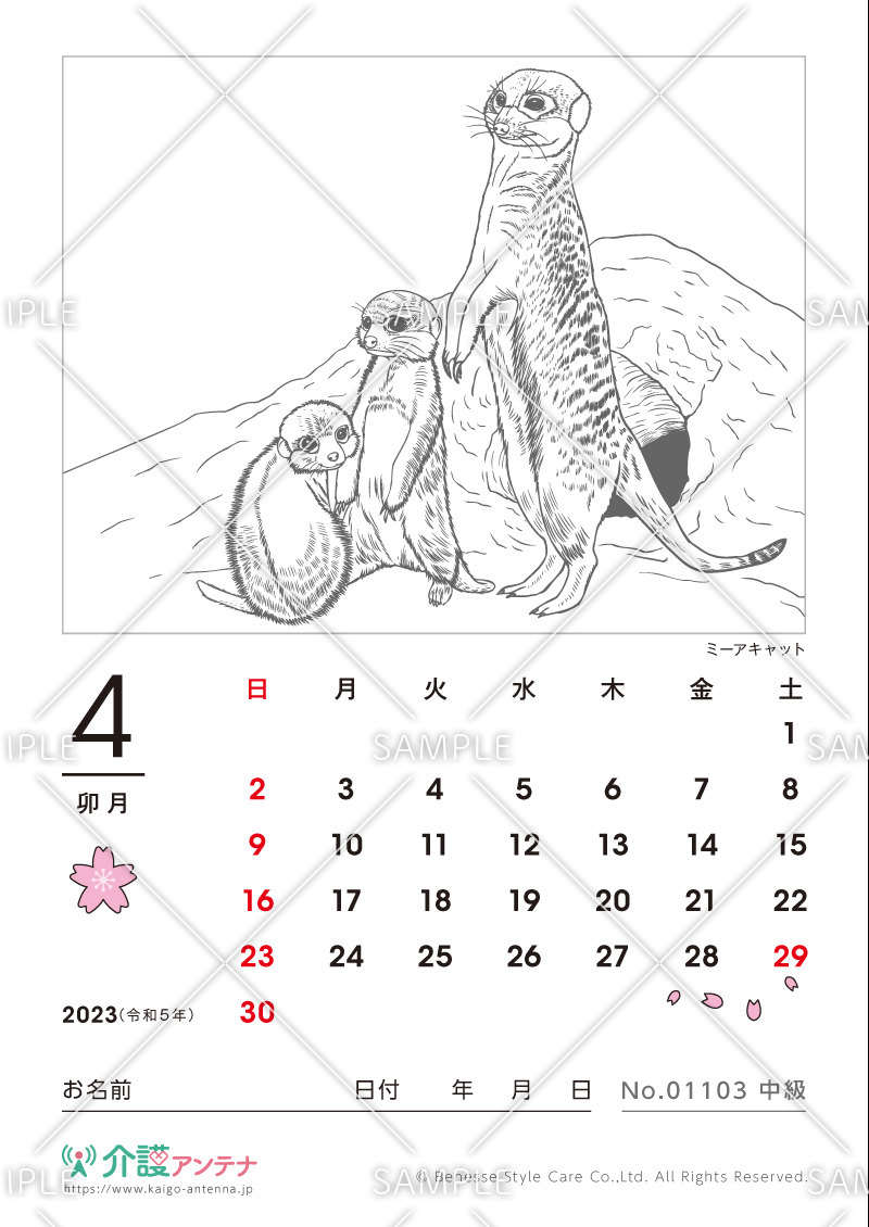 2023年4月の塗り絵カレンダー「ミーアキャット（動物）」 - No.01103(高齢者向けカレンダー作りの介護レク素材)
