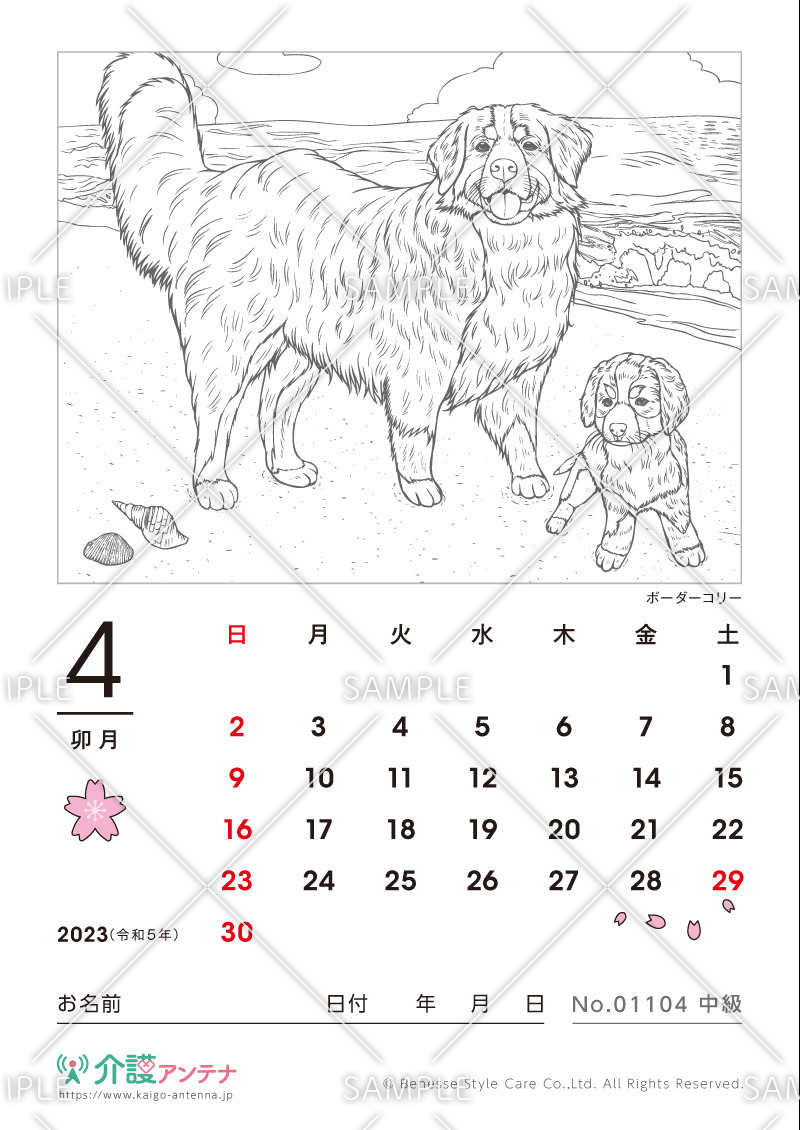 2023年4月の塗り絵カレンダー「ボーダーコリー（犬・動物）」 - No.01104(高齢者向けカレンダー作りの介護レク素材)