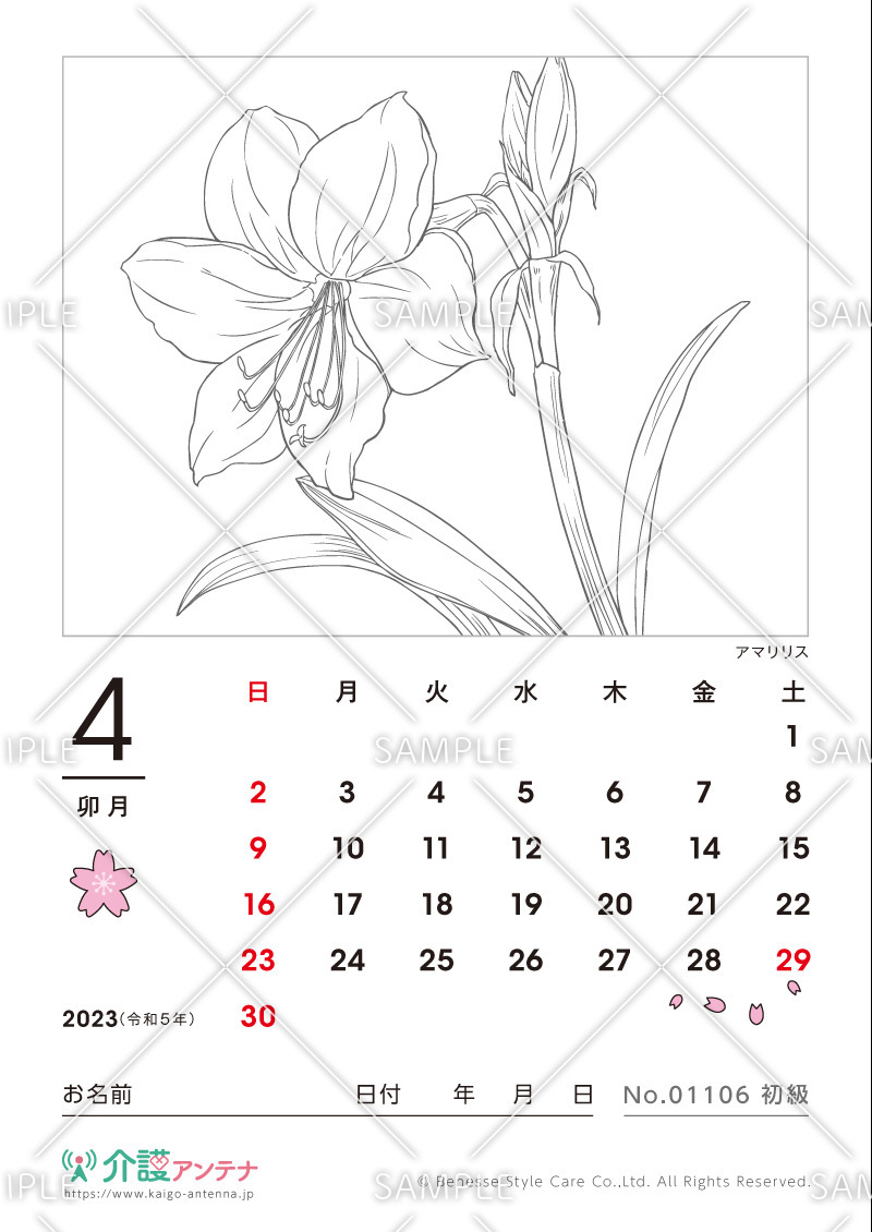 2023年4月の塗り絵カレンダー「アマリリス（花・植物）」 - No.01106(高齢者向けカレンダー作りの介護レク素材)