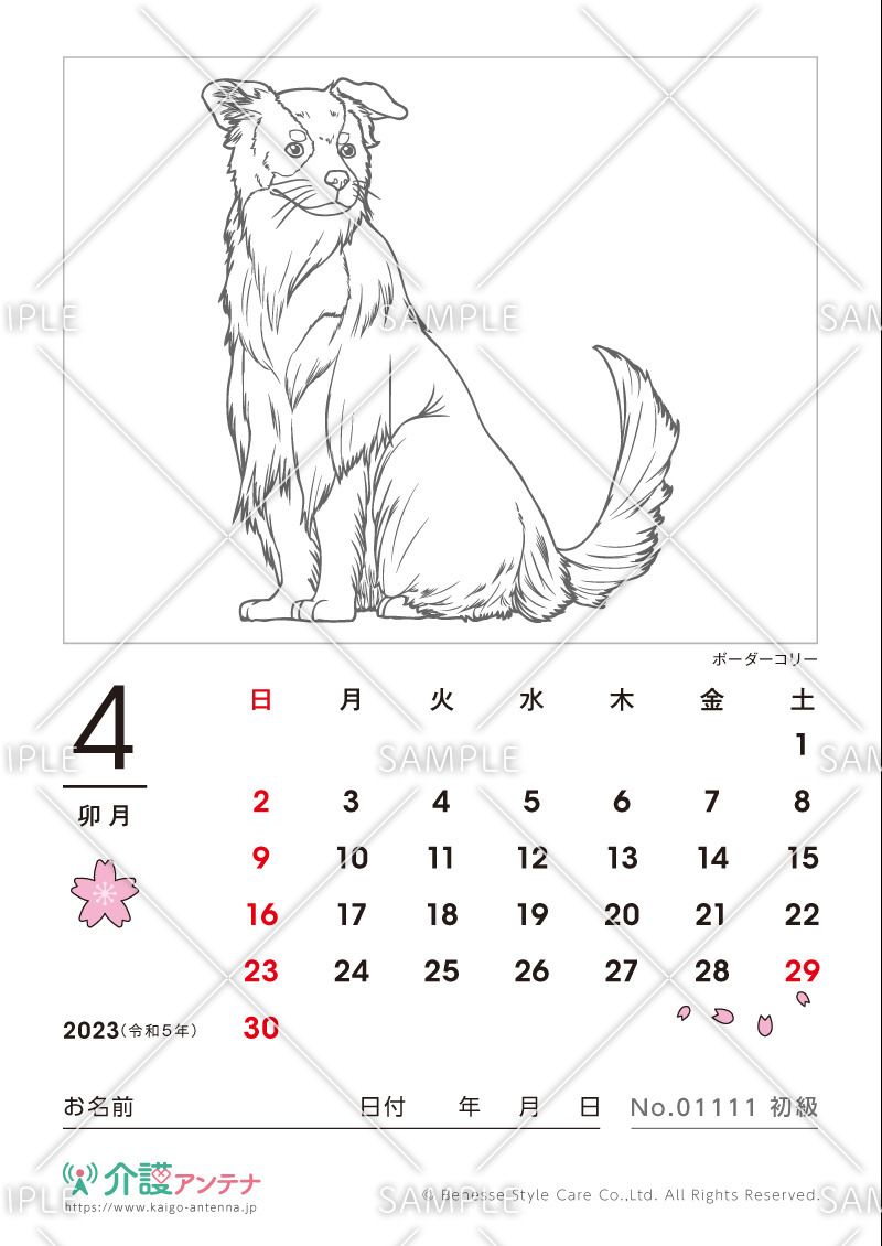 2023年4月の塗り絵カレンダー「ボーダーコリー（犬・動物）」 - No.01111(高齢者向けカレンダー作りの介護レク素材)
