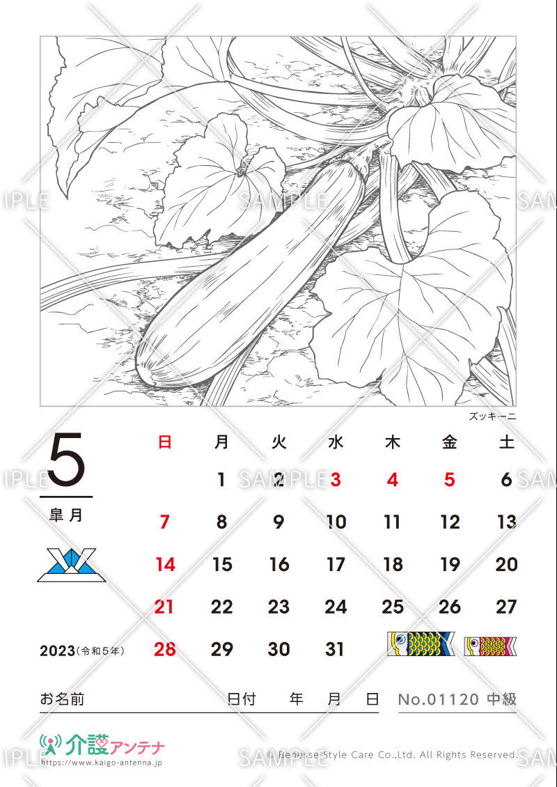 2023年5月の塗り絵カレンダー「ズッキーニ（植物）」 - No.01120(高齢者向けカレンダー作りの介護レク素材)