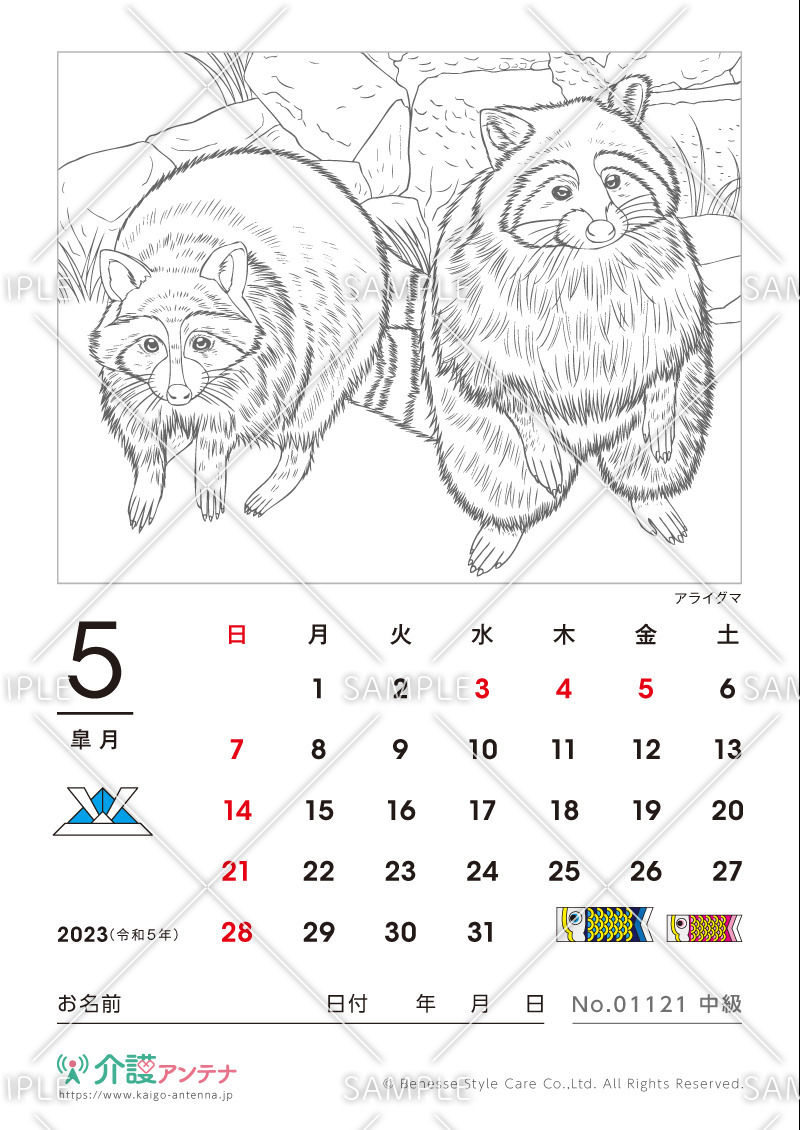 2023年5月の塗り絵カレンダー「アライグマ（動物）」 - No.01121(高齢者向けカレンダー作りの介護レク素材)