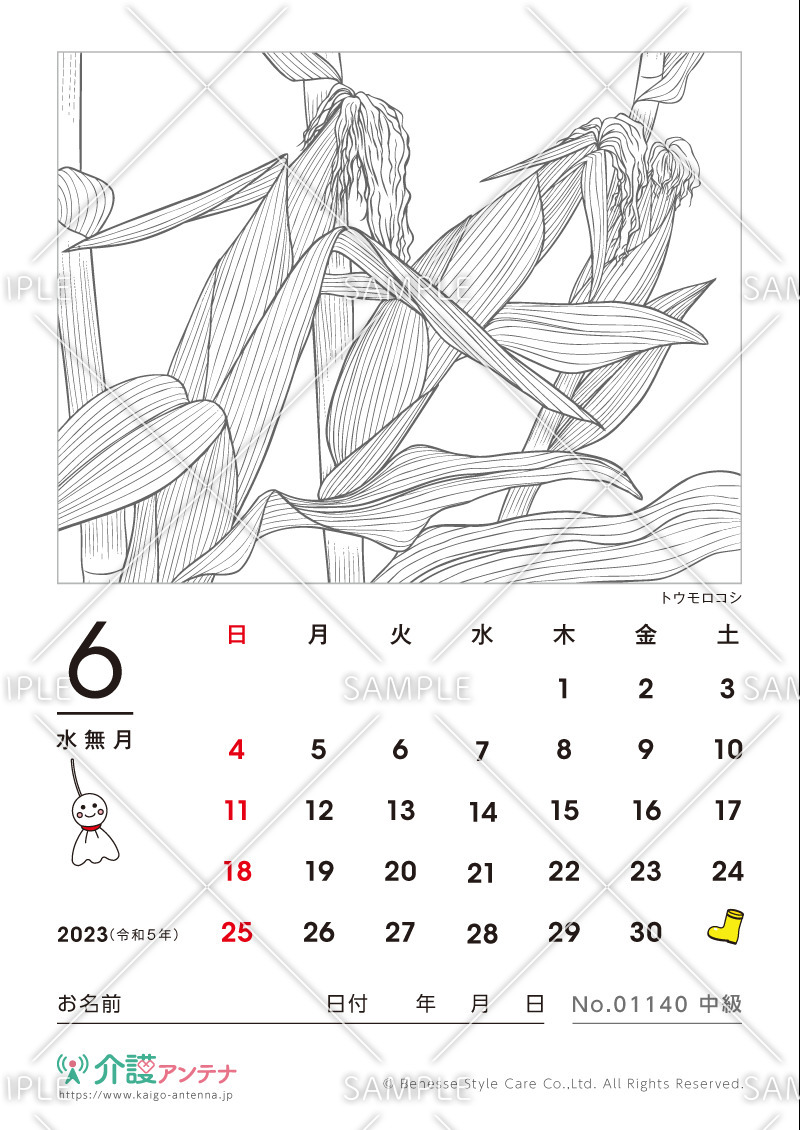 2023年6月の塗り絵カレンダー「トウモロコシ（植物）」 - No.01140(高齢者向けカレンダー作りの介護レク素材)