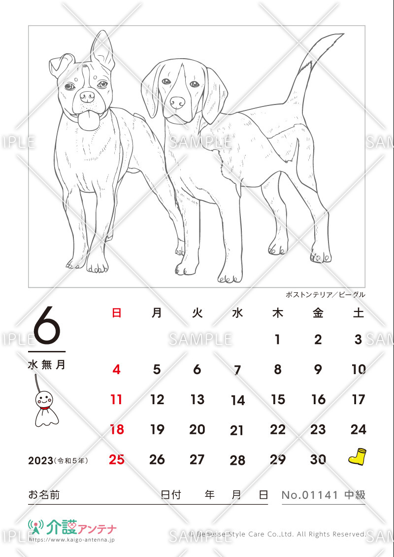 2023年6月の塗り絵カレンダー「ボストンテリアとビーグル（犬・動物）」 - No.01141(高齢者向けカレンダー作りの介護レク素材)