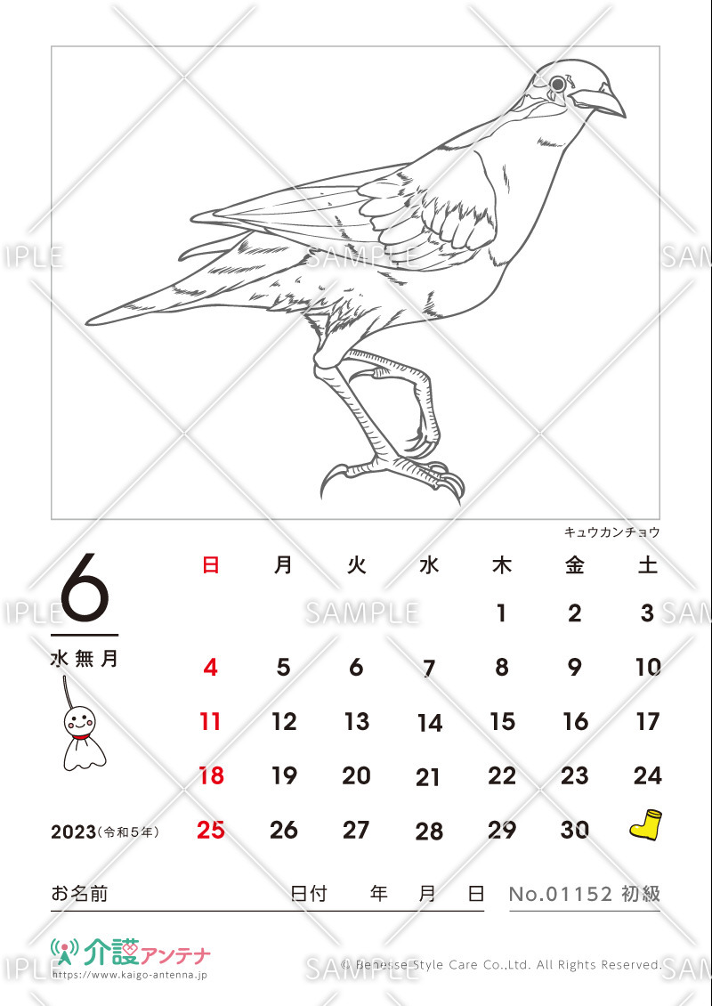 2023年6月の塗り絵カレンダー「キュウカンチョウ（鳥・動物）」 - No.01152(高齢者向けカレンダー作りの介護レク素材)