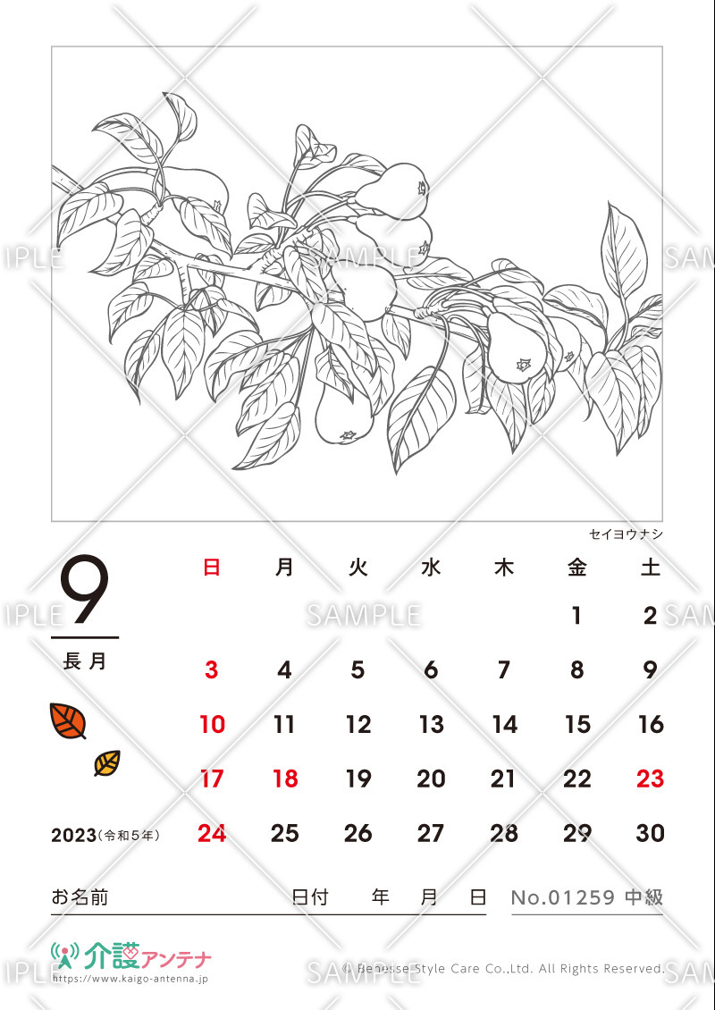 2023年9月の塗り絵カレンダー「セイヨウナシ（植物）」 - No.01259(高齢者向けカレンダー作りの介護レク素材)