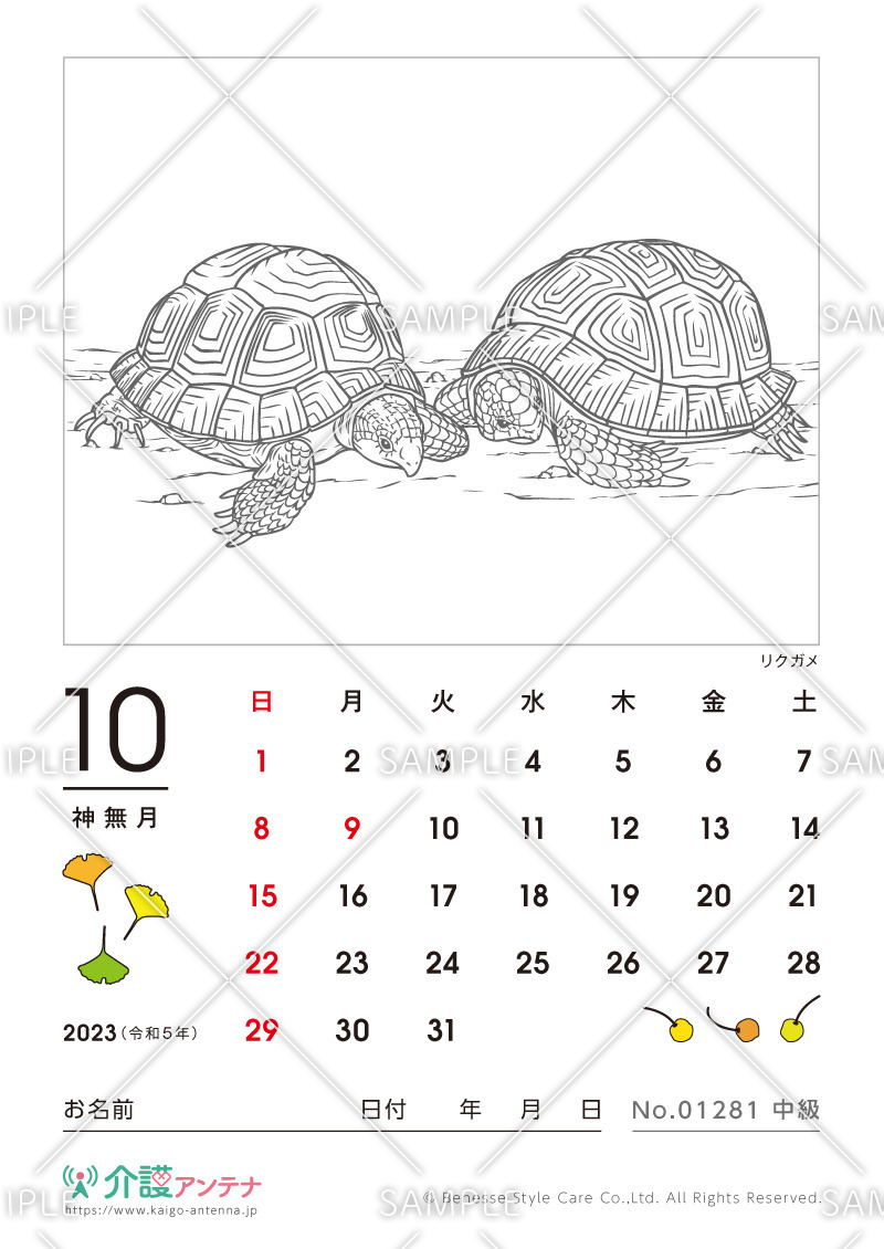 2023年10月の塗り絵カレンダー「リクガメ（動物）」 - No.01281(高齢者向けカレンダー作りの介護レク素材)