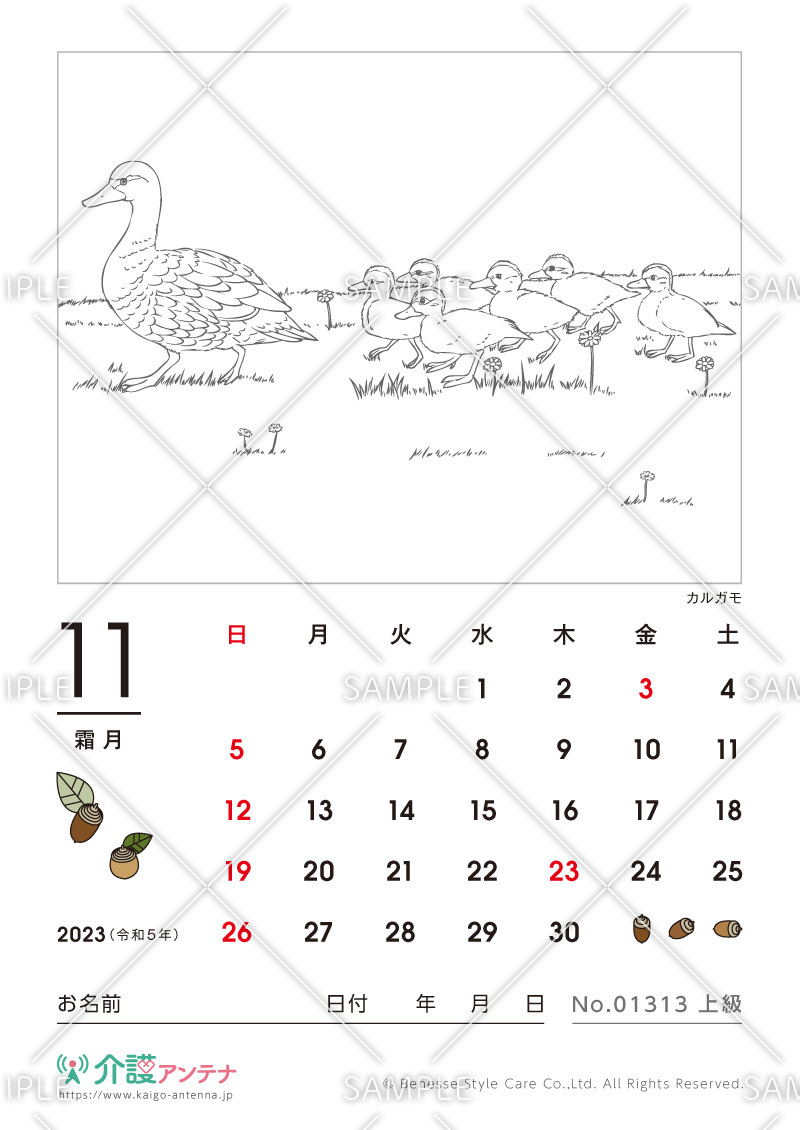 2023年11月の塗り絵カレンダー「カルガモ（鳥・動物）」 - No.01313(高齢者向けカレンダー作りの介護レク素材)