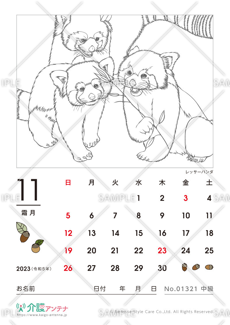 2023年11月の塗り絵カレンダー「レッサーパンダ（動物）」 - No.01321(高齢者向けカレンダー作りの介護レク素材)