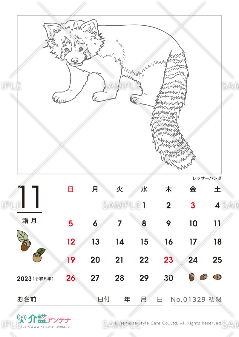 2023年11月の塗り絵カレンダー「レッサーパンダ（動物）」 - No.01329(高齢者向けカレンダー作りの介護レク素材)