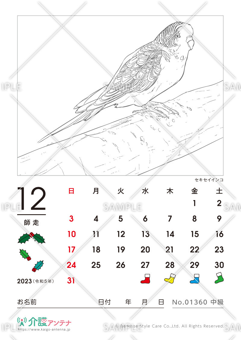 2023年12月の塗り絵カレンダー「セキセイインコ（鳥・動物）」 - No.01360(高齢者向けカレンダー作りの介護レク素材)
