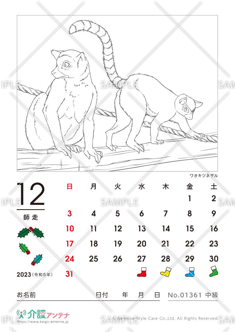 2023年12月の塗り絵カレンダー「ワオキツネザル（動物）」 - No.01361(高齢者向けカレンダー作りの介護レク素材)