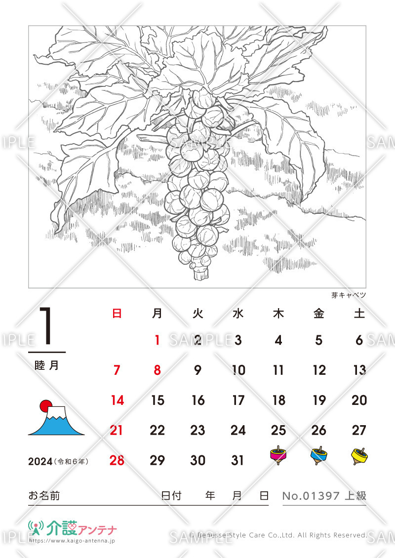 2024年1月の塗り絵カレンダー「芽キャベツ（植物）」 - No.01397(高齢者向けカレンダー作りの介護レク素材)
