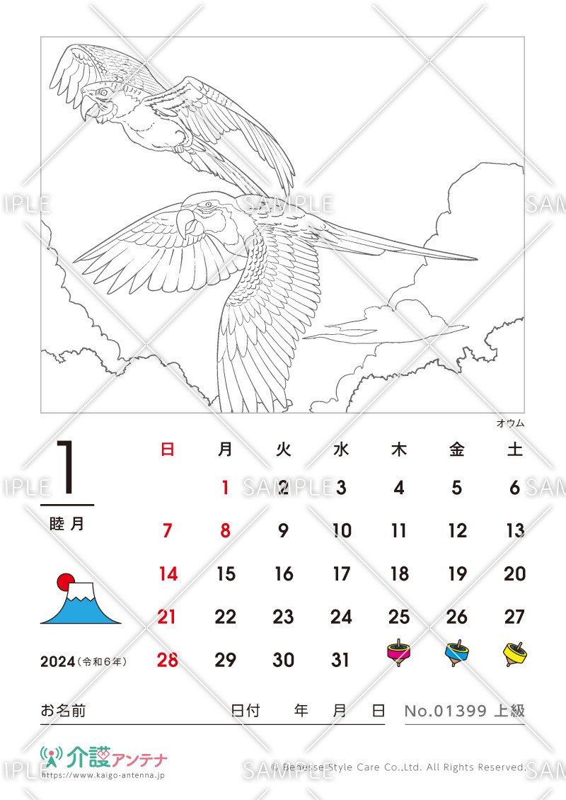 2024年1月の塗り絵カレンダー「オウム（鳥・動物）」 - No.01399(高齢者向けカレンダー作りの介護レク素材)