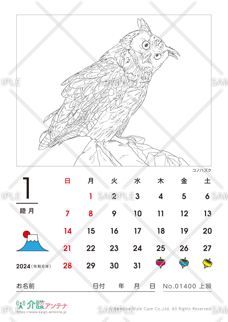 2024年1月の塗り絵カレンダー「コノハズク（鳥・動物）」 - No.01400(高齢者向けカレンダー作りの介護レク素材)
