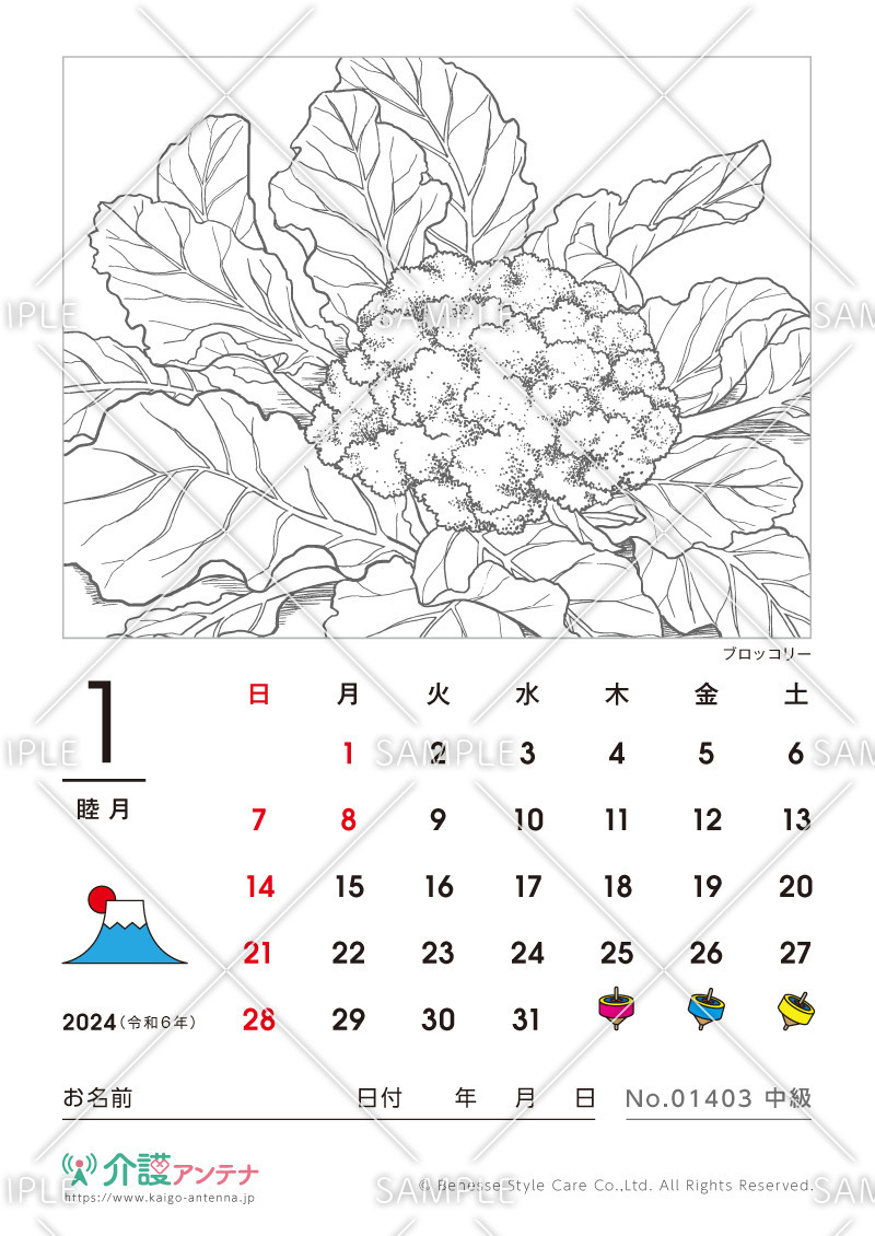 2024年1月の塗り絵カレンダー「ブロッコリー（植物）」 - No.01403(高齢者向けカレンダー作りの介護レク素材)
