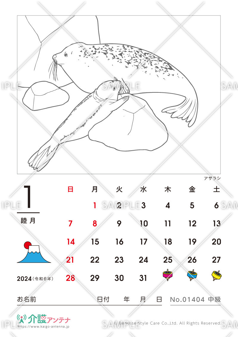 2024年1月の塗り絵カレンダー「アザラシ（動物）」 - No.01404(高齢者向けカレンダー作りの介護レク素材)