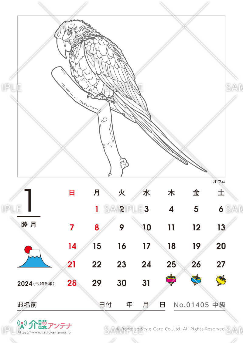 2024年1月の塗り絵カレンダー「オウム（鳥・動物）」 - No.01405(高齢者向けカレンダー作りの介護レク素材)