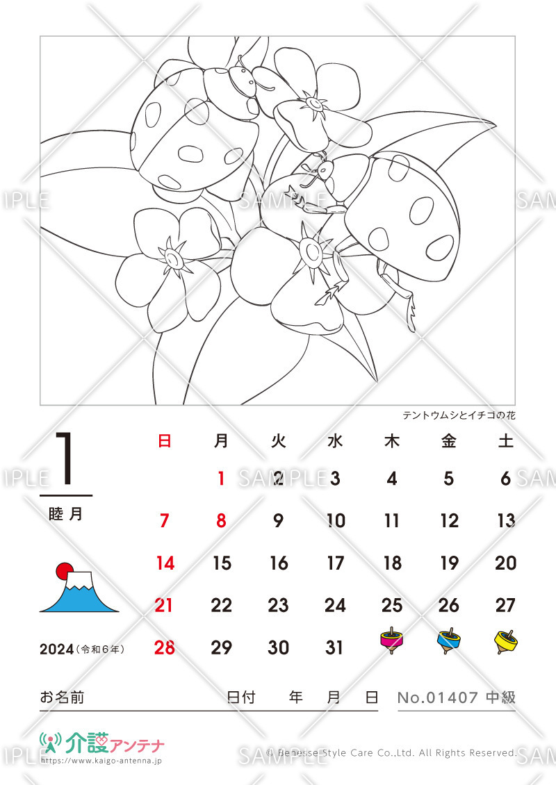 2024年1月の塗り絵カレンダー「テントウムシとイチゴの花（動物）」 - No.01407(高齢者向けカレンダー作りの介護レク素材)