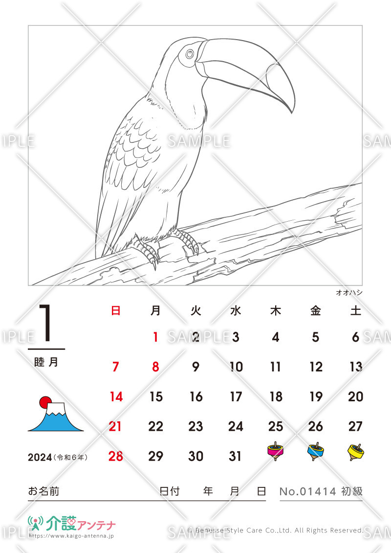 2024年1月の塗り絵カレンダー「オオハシ（鳥・動物）」 - No.01414(高齢者向けカレンダー作りの介護レク素材)