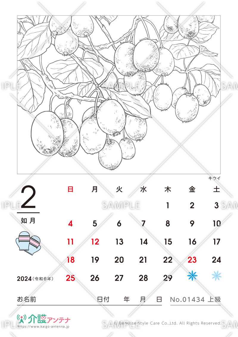 2024年2月の塗り絵カレンダー「キウイ（植物）」 - No.01434(高齢者向けカレンダー作りの介護レク素材)