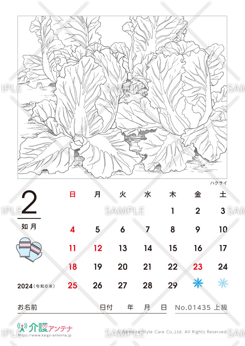 2024年2月の塗り絵カレンダー「ハクサイ（植物）」 - No.01435(高齢者向けカレンダー作りの介護レク素材)