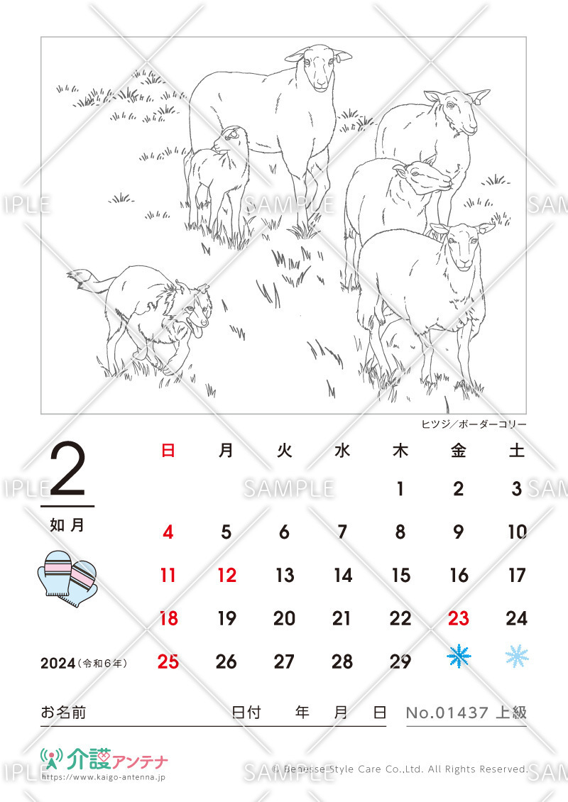 2024年2月の塗り絵カレンダー「ヒツジ／ボーダーコリー（動物）」 - No.01437(高齢者向けカレンダー作りの介護レク素材)