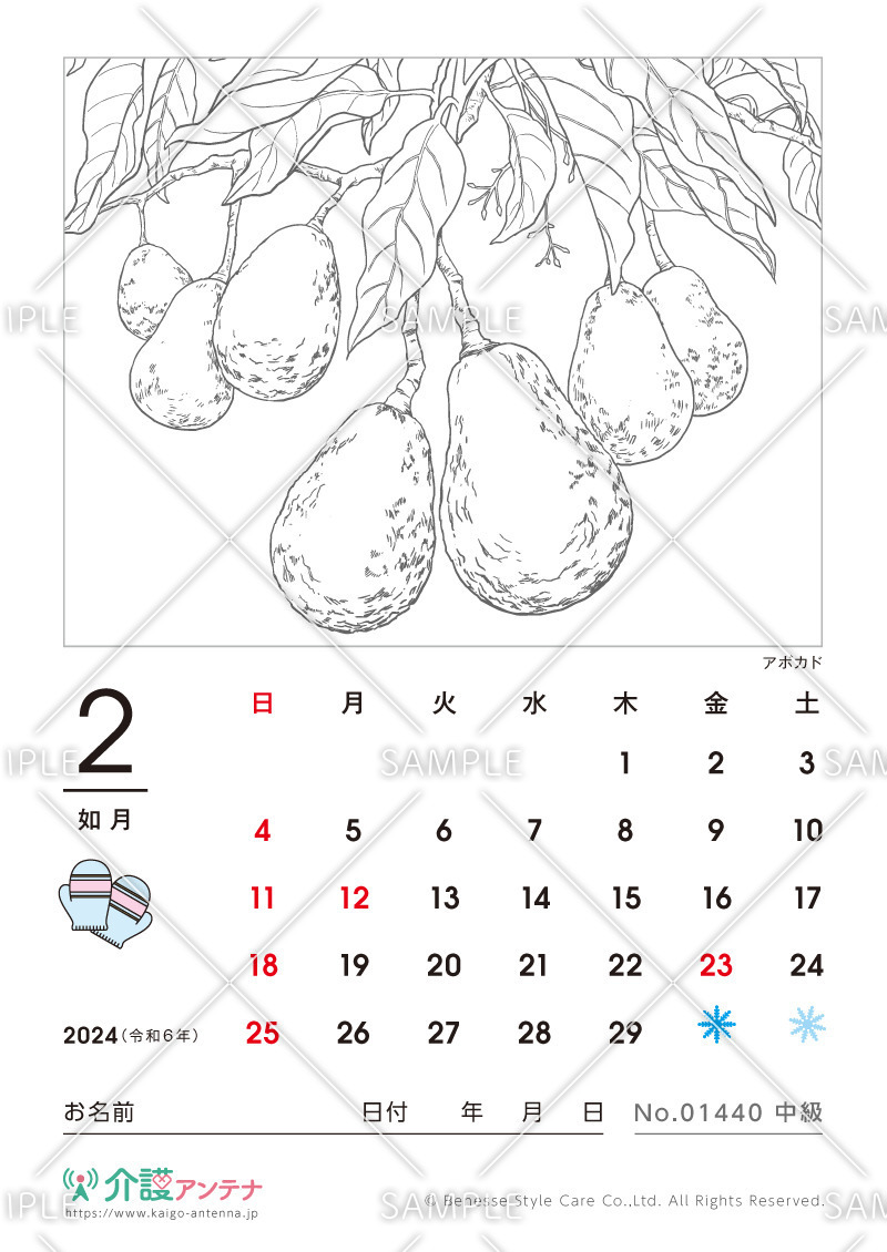 2024年2月の塗り絵カレンダー「アボカド（植物）」 - No.01440(高齢者向けカレンダー作りの介護レク素材)