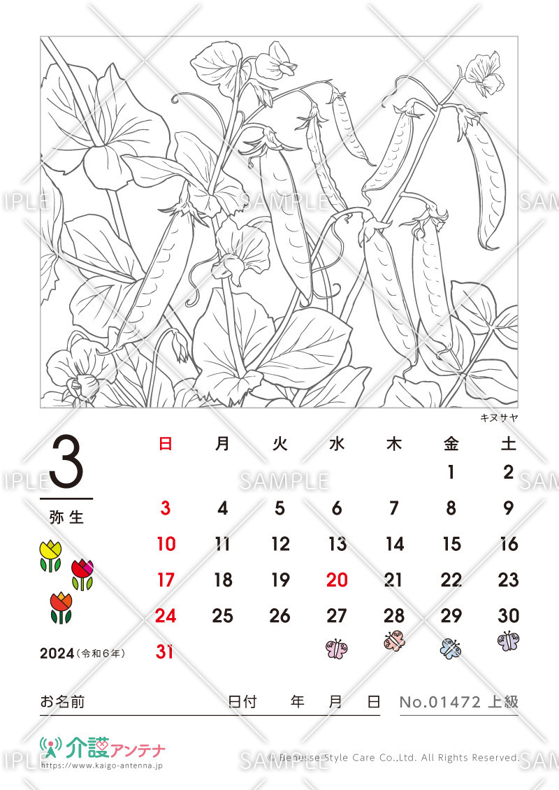 2024年3月の塗り絵カレンダー「キヌサヤ（植物）」 - No.01472(高齢者向けカレンダー作りの介護レク素材)