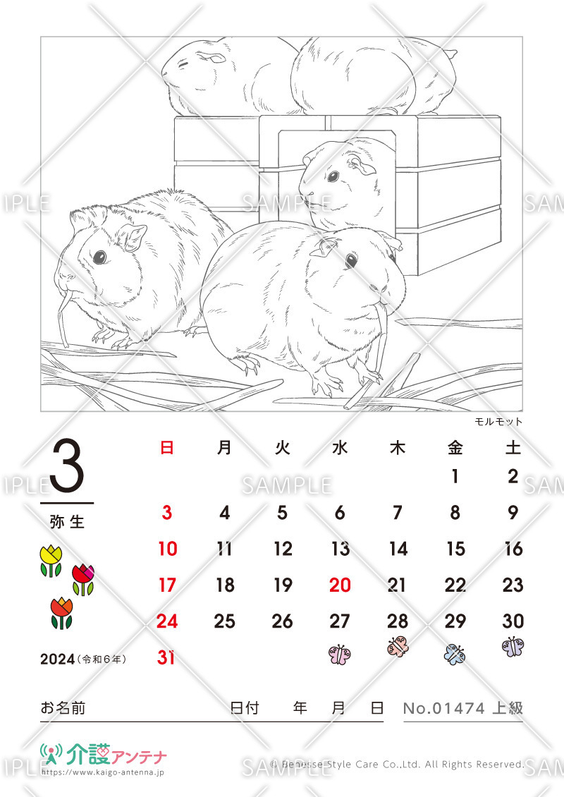 2024年3月の塗り絵カレンダー「モルモット（動物）」 - No.01474(高齢者向けカレンダー作りの介護レク素材)