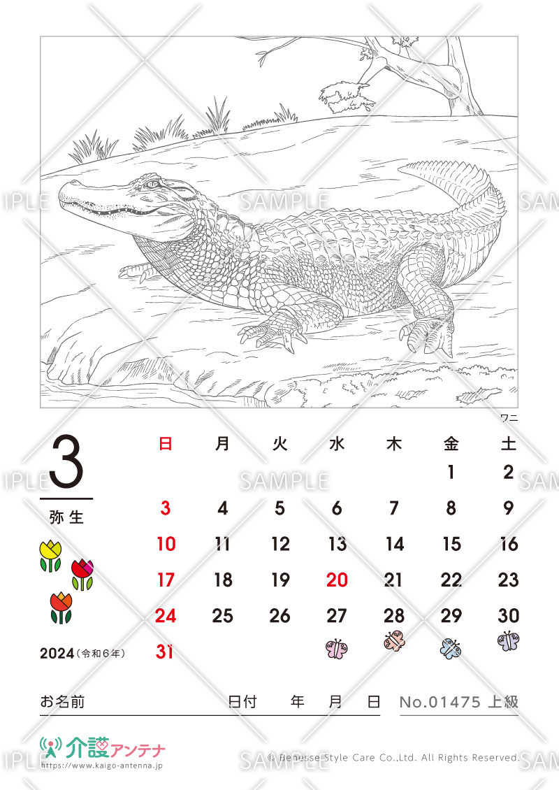 2024年3月の塗り絵カレンダー「ワニ（動物）」 - No.01475(高齢者向けカレンダー作りの介護レク素材)