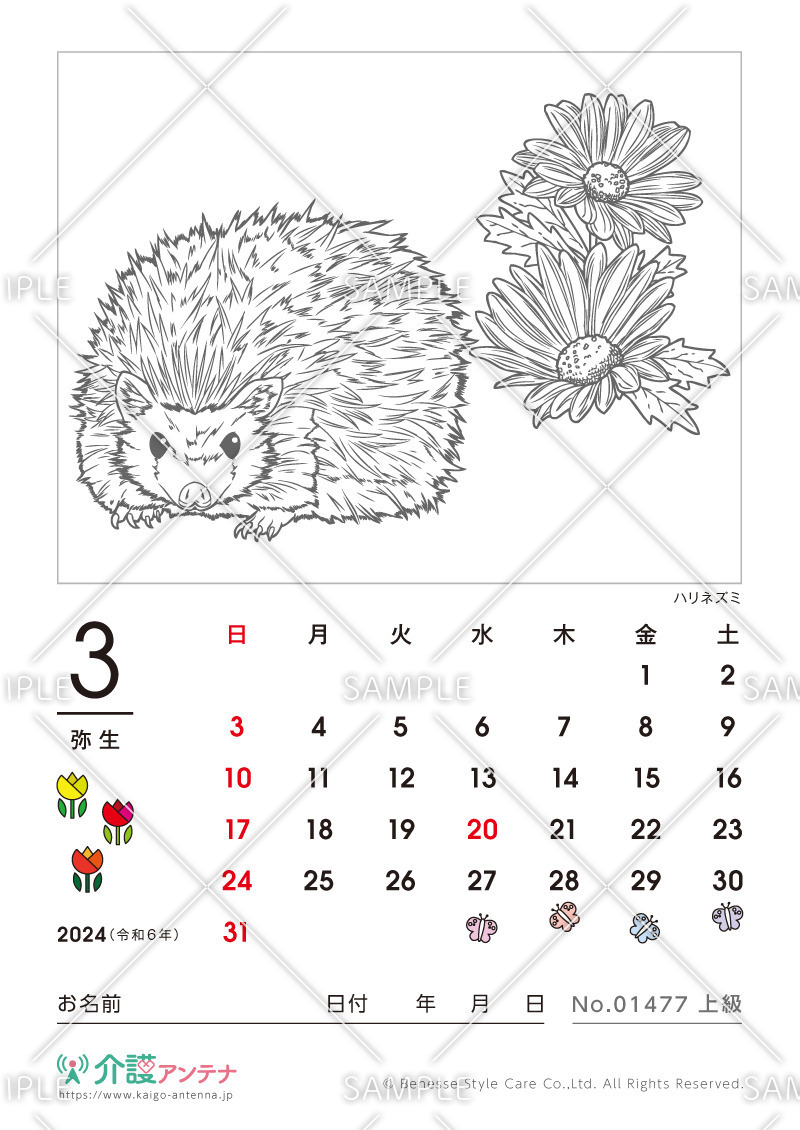 2024年3月の塗り絵カレンダー「ハリネズミ（動物）」 - No.01477(高齢者向けカレンダー作りの介護レク素材)