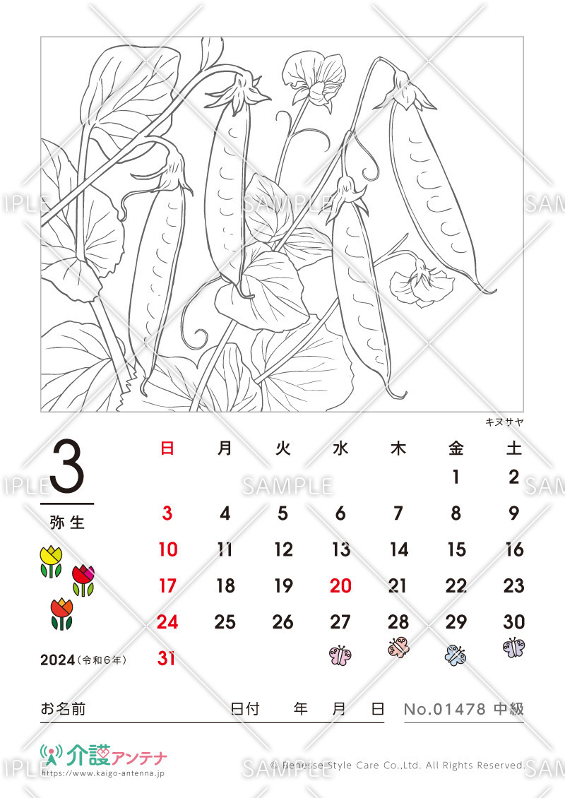 2024年3月の塗り絵カレンダー「キヌサヤ（植物）」 - No.01478(高齢者向けカレンダー作りの介護レク素材)