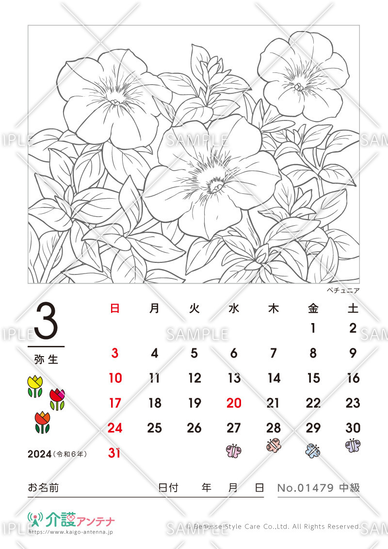 2024年3月の塗り絵カレンダー「ペチュニア（花・植物）」 - No.01479(高齢者向けカレンダー作りの介護レク素材)