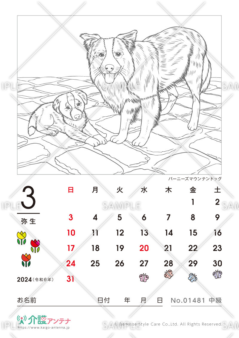 2024年3月の塗り絵カレンダー「バーニーズマウンテンドッグ（犬・動物）」 - No.01481(高齢者向けカレンダー作りの介護レク素材)