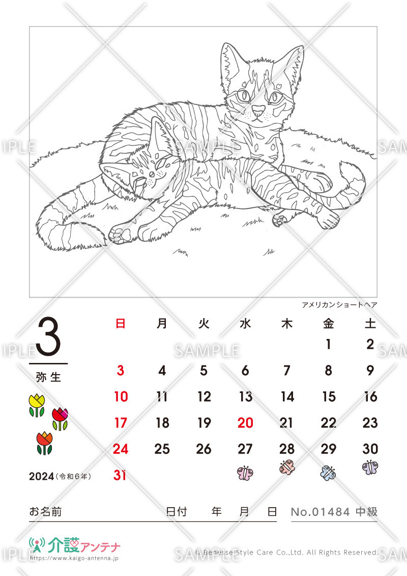 2024年3月の塗り絵カレンダー「アメリカンショートヘア（猫・動物）」 - No.01484(高齢者向けカレンダー作りの介護レク素材)