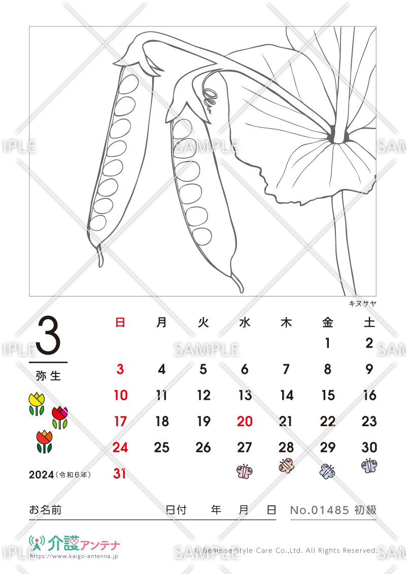 2024年3月の塗り絵カレンダー「キヌサヤ（植物）」 - No.01485(高齢者向けカレンダー作りの介護レク素材)