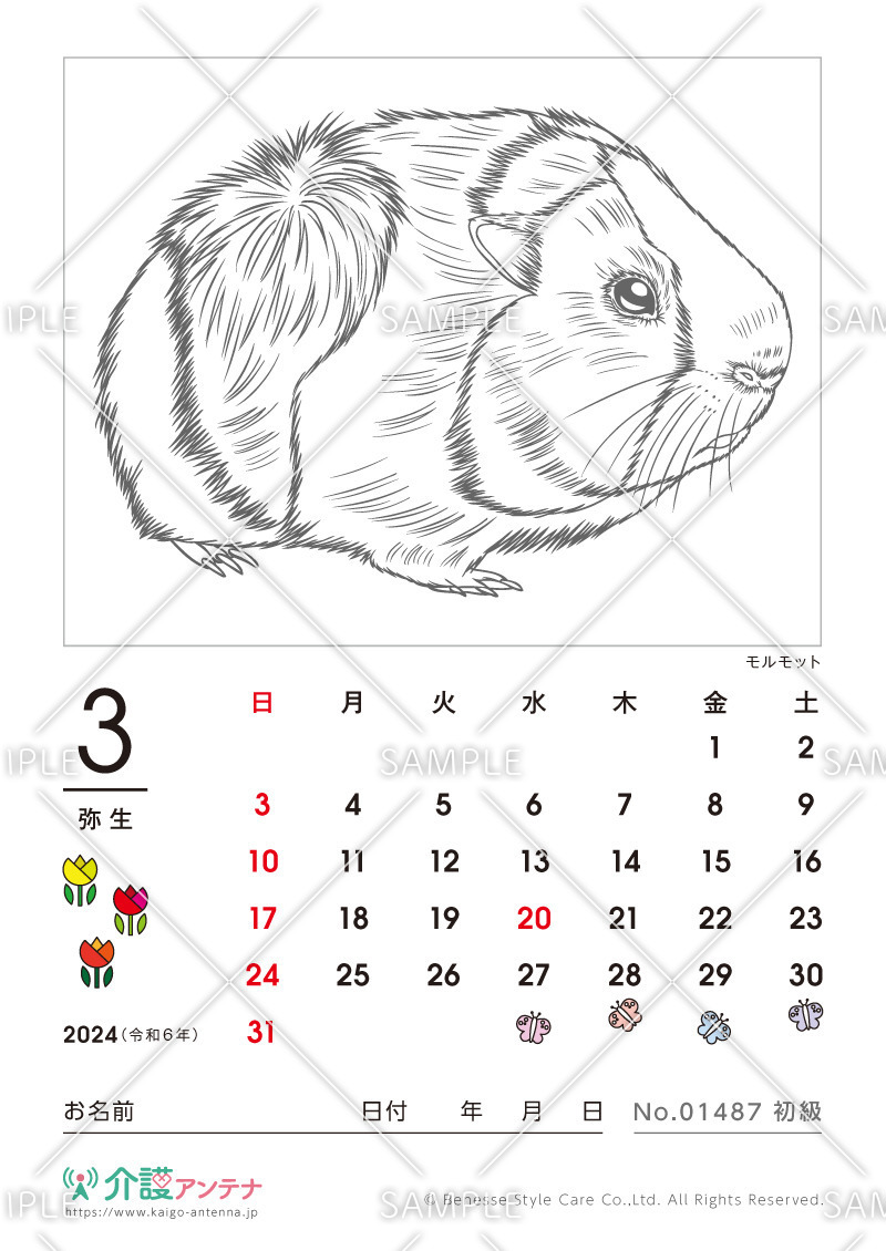 2024年3月の塗り絵カレンダー「モルモット（動物）」 - No.01487(高齢者向けカレンダー作りの介護レク素材)