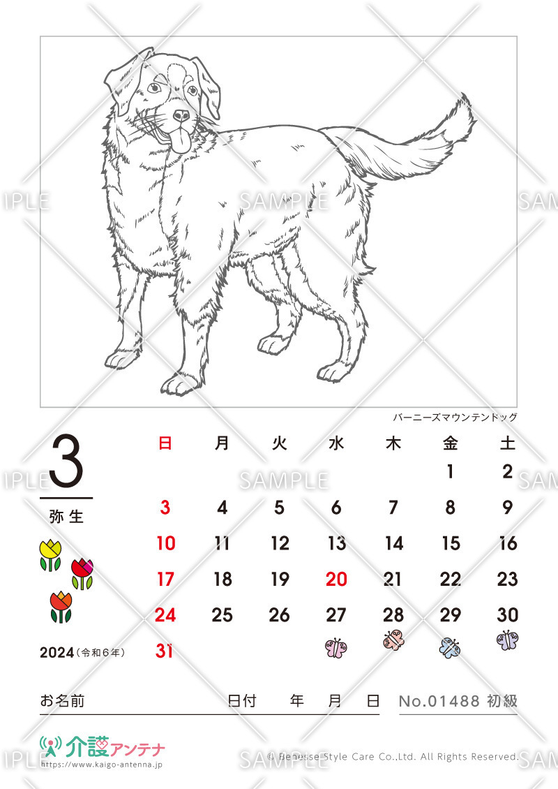2024年3月の塗り絵カレンダー「バーニーズマウンテンドッグ（犬・動物）」 - No.01488(高齢者向けカレンダー作りの介護レク素材)