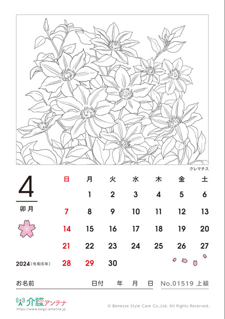 2024年4月の塗り絵カレンダー「クレマチス（花・植物）」 - No.01519(高齢者向けカレンダー作りの介護レク素材)