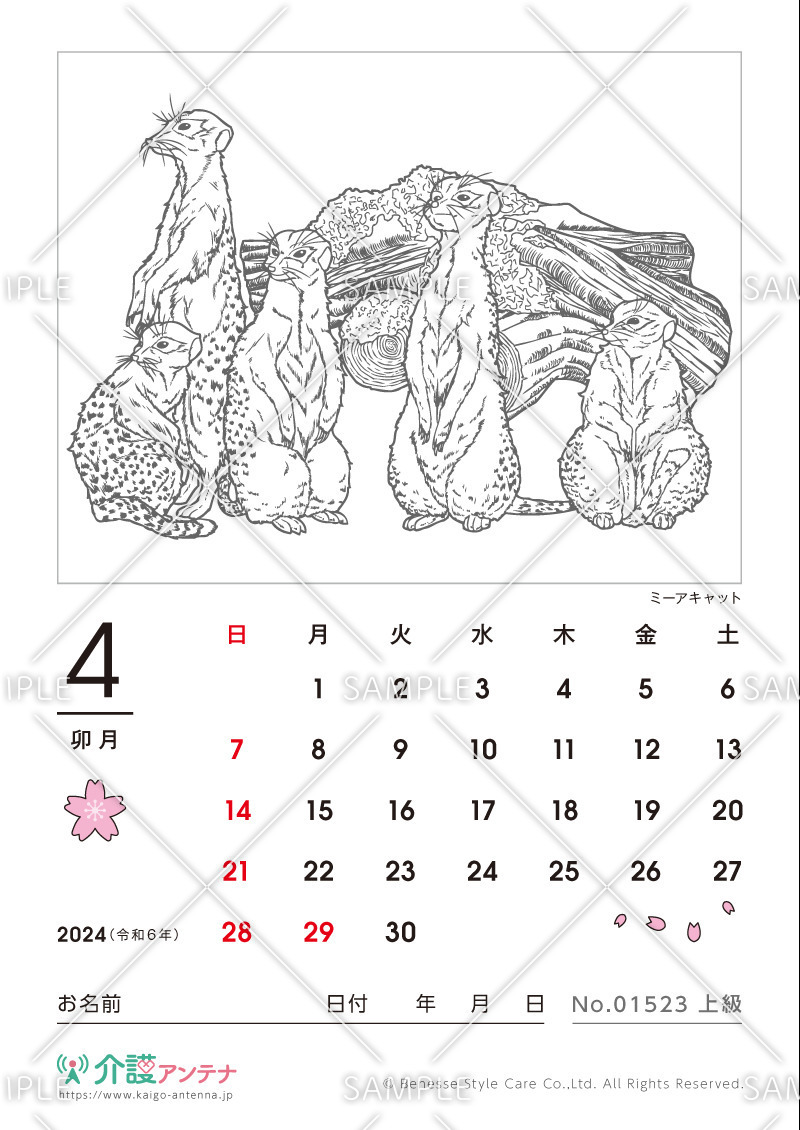 2024年4月の塗り絵カレンダー「ミーアキャット（動物）」 - No.01523(高齢者向けカレンダー作りの介護レク素材)