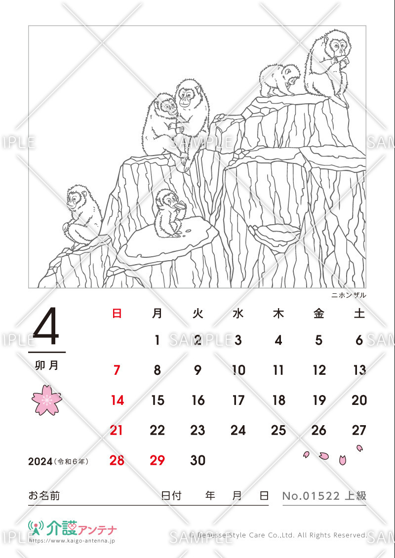 2024年4月の塗り絵カレンダー「ニホンザル（動物）」 - No.01522(高齢者向けカレンダー作りの介護レク素材)