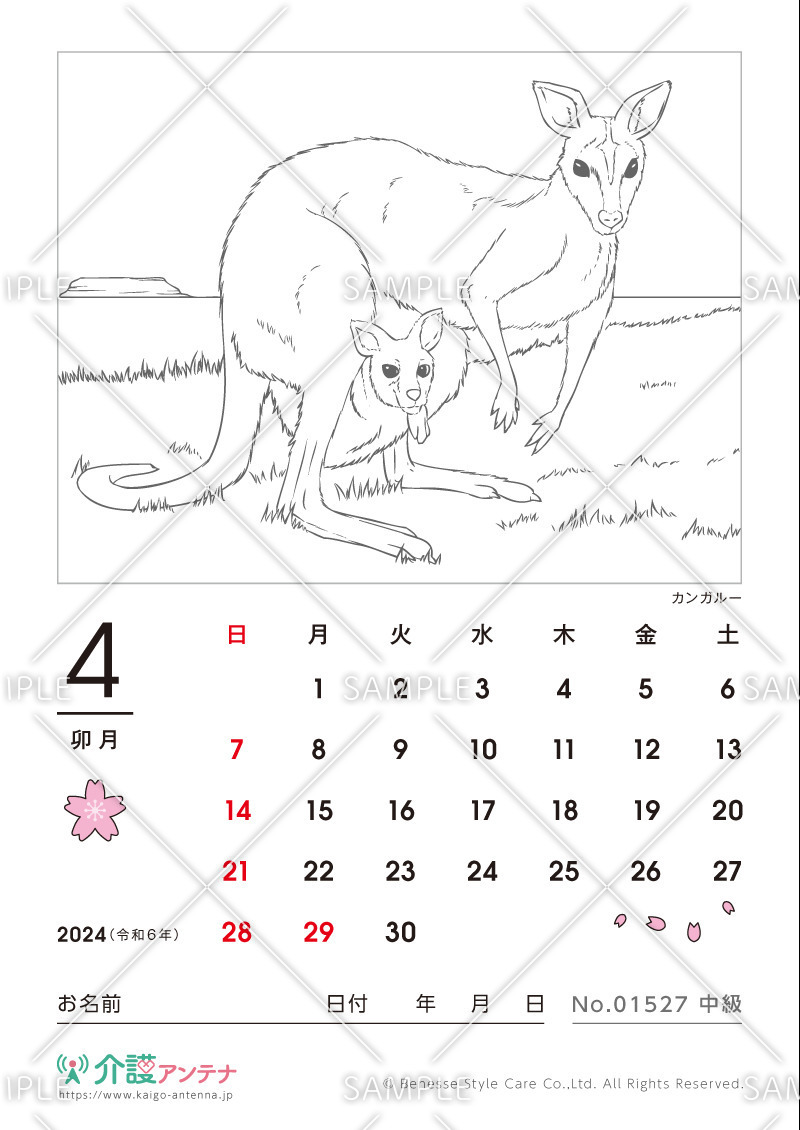 2024年4月の塗り絵カレンダー「カンガルー（動物）」 - No.01527(高齢者向けカレンダー作りの介護レク素材)