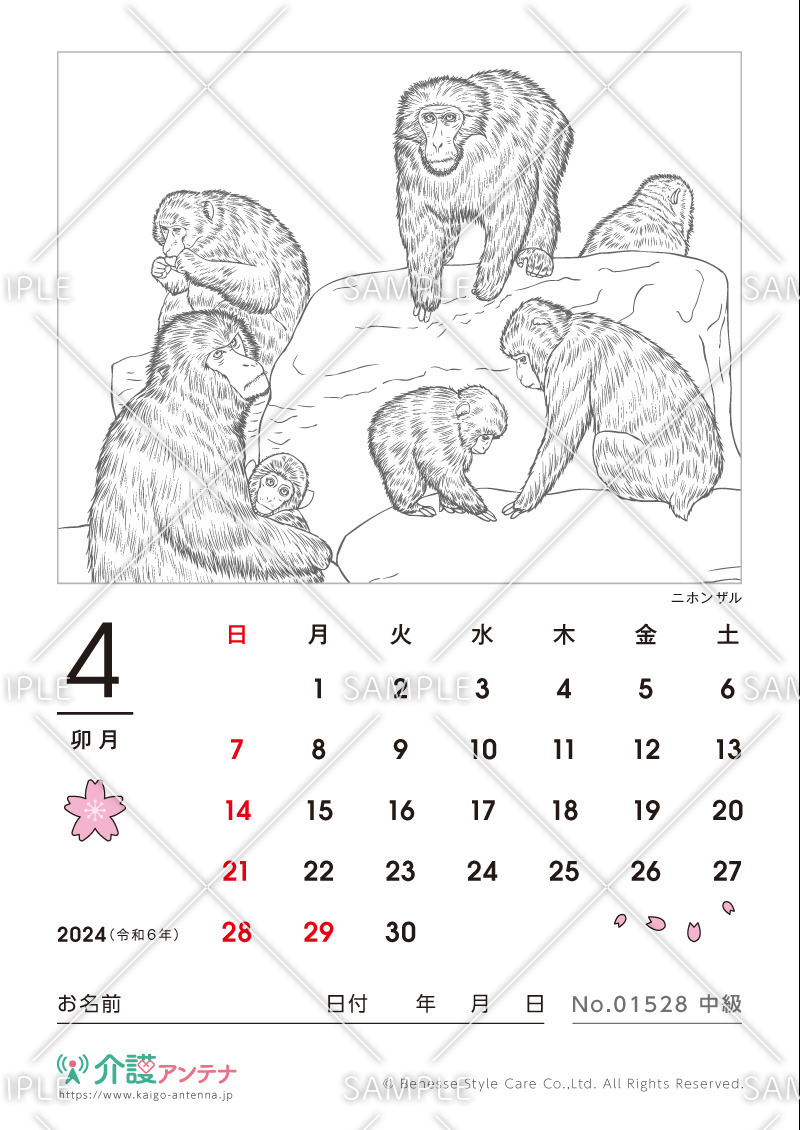 2024年4月の塗り絵カレンダー「ニホンザル（動物）」 - No.01528(高齢者向けカレンダー作りの介護レク素材)